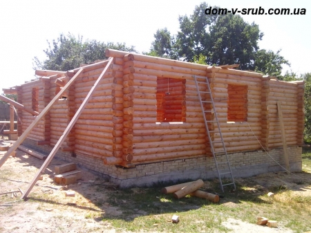Log buildings under construction_116
