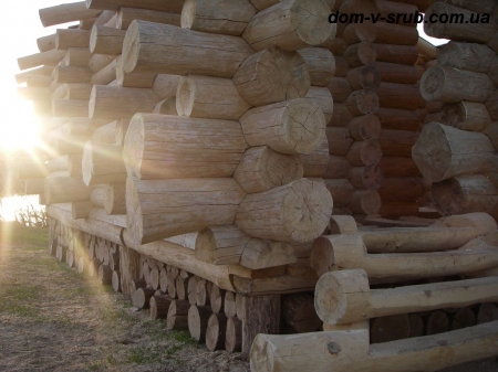 Log buildings under construction_121